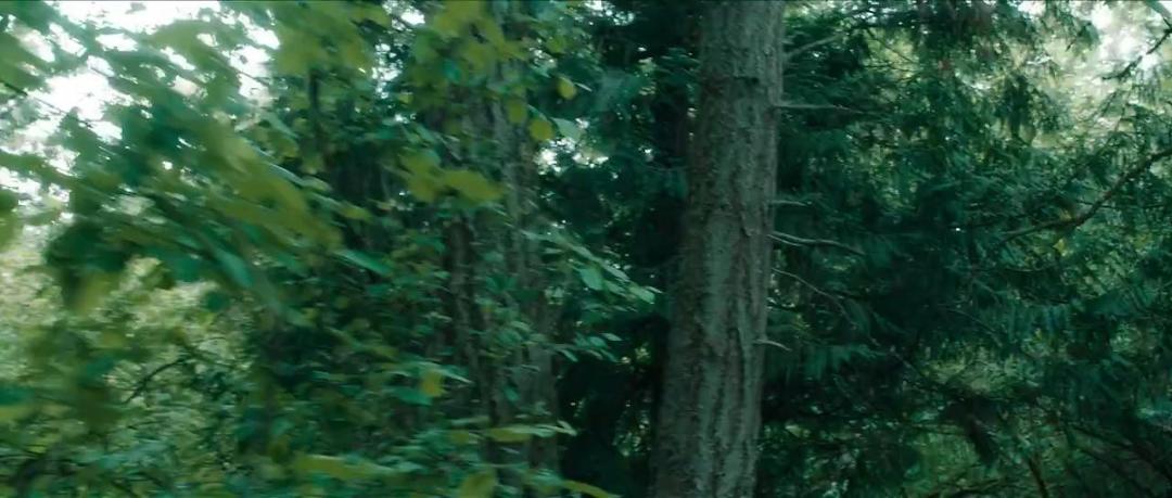 SILENCE (2020) Tamil (Org Vers) 720p HDRip x264 DD5 1 ESub-TT Exclusive SILENCE (2020) Tamil (Org Vers) 720p HDRip x264 DD5 1 ESub-TT Exclusive