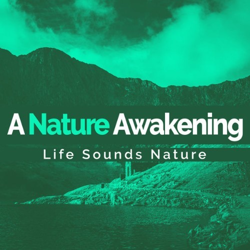 Life Sounds Nature - A Nature Awakening - 2019