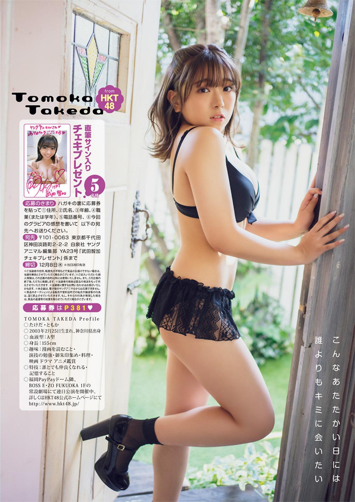 Tomoka Takeda 武田智加, Young Animal 2022 No.23 (ヤングアニマル 2022年23号)(9)