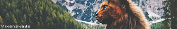 ♔ Riverclan Inschrijftopic  - Pagina 3 Vx8q4W9w_o