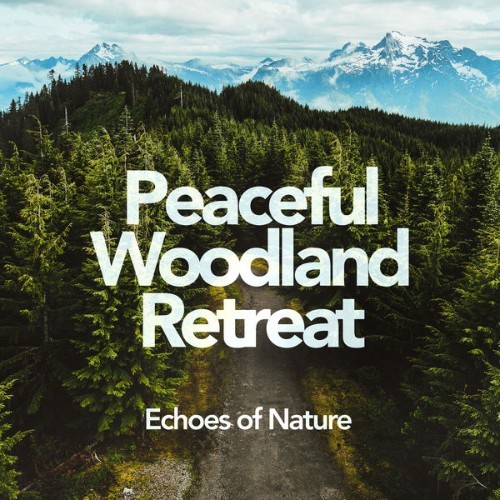 Echoes of Nature - Peaceful Woodland Retreat - 2019
