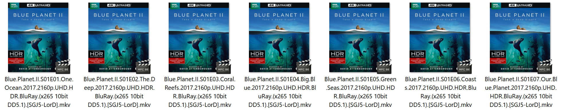 Blue Planet II 2017 2160p UHD HDR BluRay x265 10bit DD5 1 SGJ5 LorD
