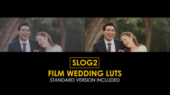 Slog2 Film Wedding And Standard Color Luts - VideoHive 50930746