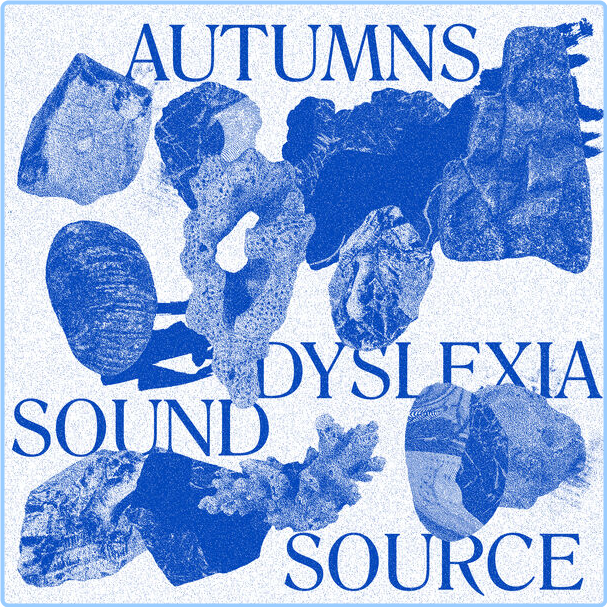 Autumns Dyslexia Sound Source (2024) 24Bit 44 1kHz [FLAC] SElc3IlG_o