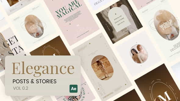 Elegance Stories and Posts Vol - VideoHive 35015111