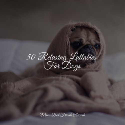 Pet Care Club - 50 Relaxing Lullabies For Dogs - 2022