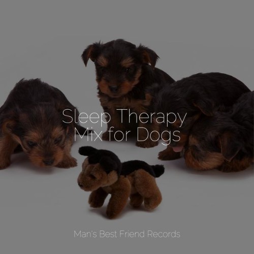 Sleeping Music For Dogs - Sleep Therapy Mix for Dogs - 2022