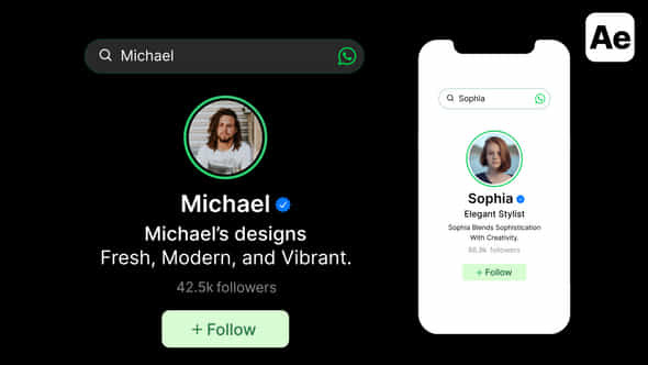 Whatsapp Search Bar Profile Result - VideoHive 54399999