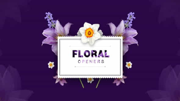 Floral 8 Opening Footages Glamour - VideoHive 20248927
