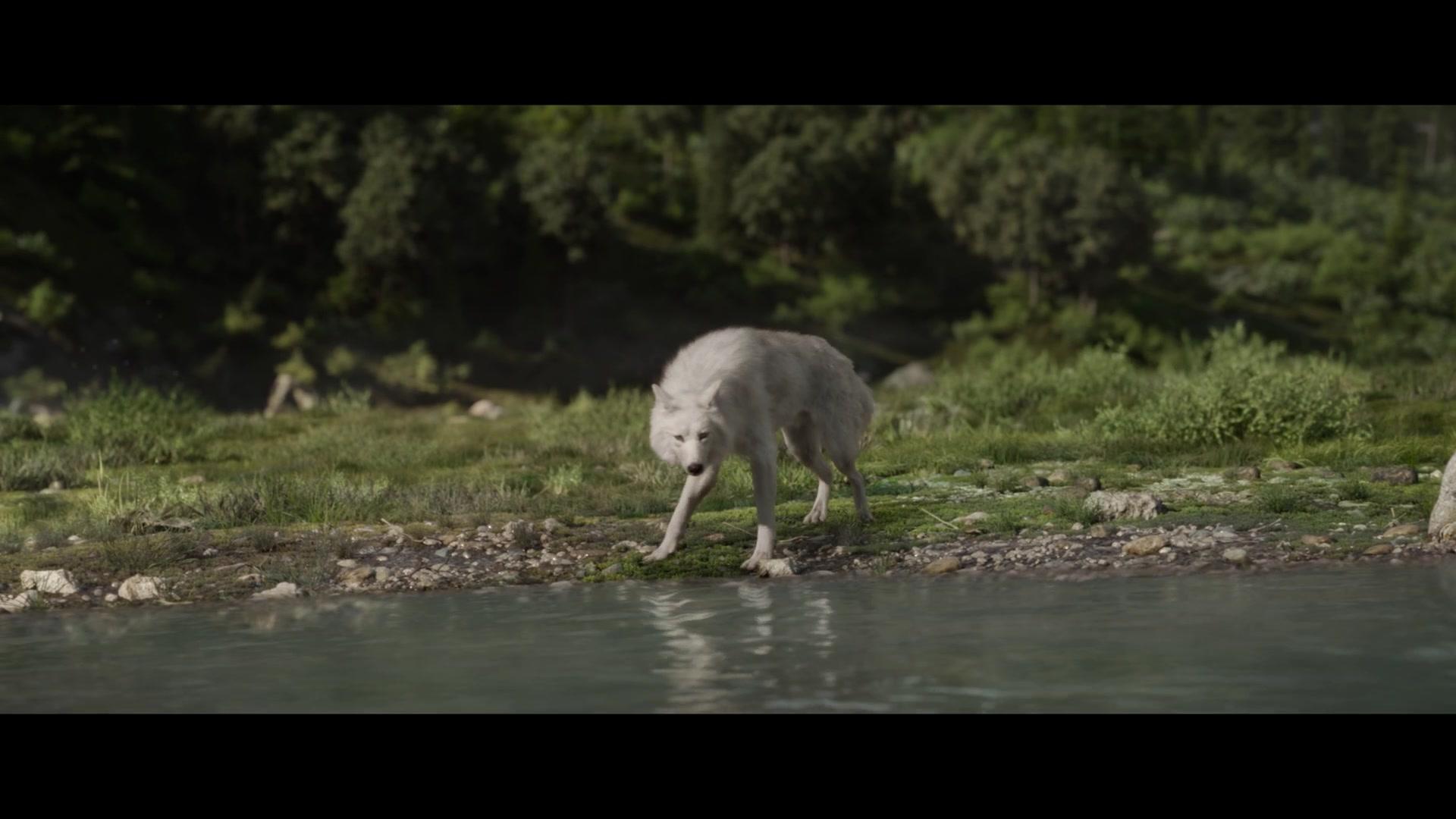 The Call of the Wild 1080p WEB-DL DD5 1 H 264-EVO The Call of the Wild 1080p WEB-DL DD5 1 H 264-EVO