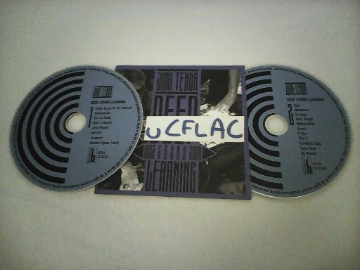 Jimi Tenor-Deep Sound Learning (1993-2000)-2CD-FLAC-2021-uCFLAC