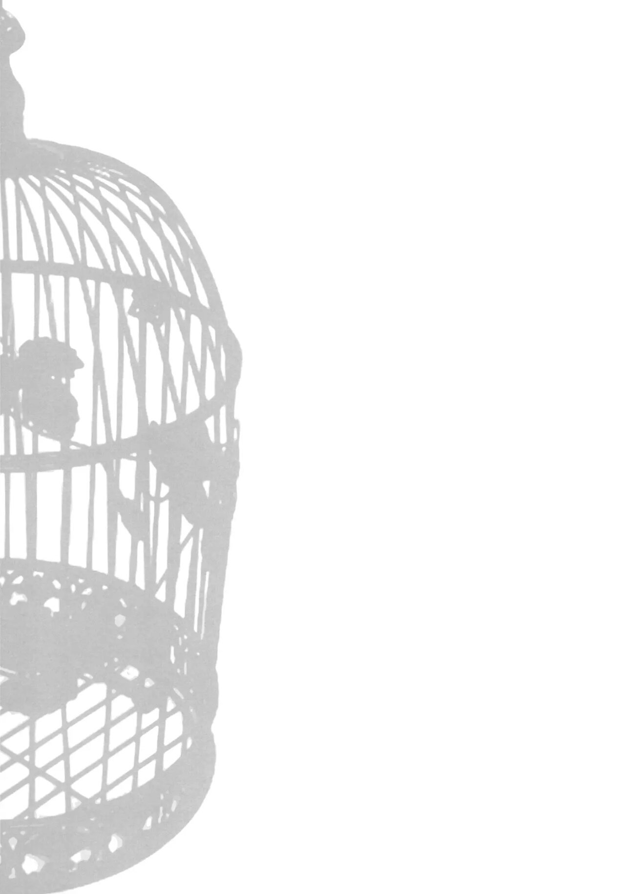 IDOLTIME SPECIAL BOOK YUKIHO HAGIWARA In The Bird Cage - 27