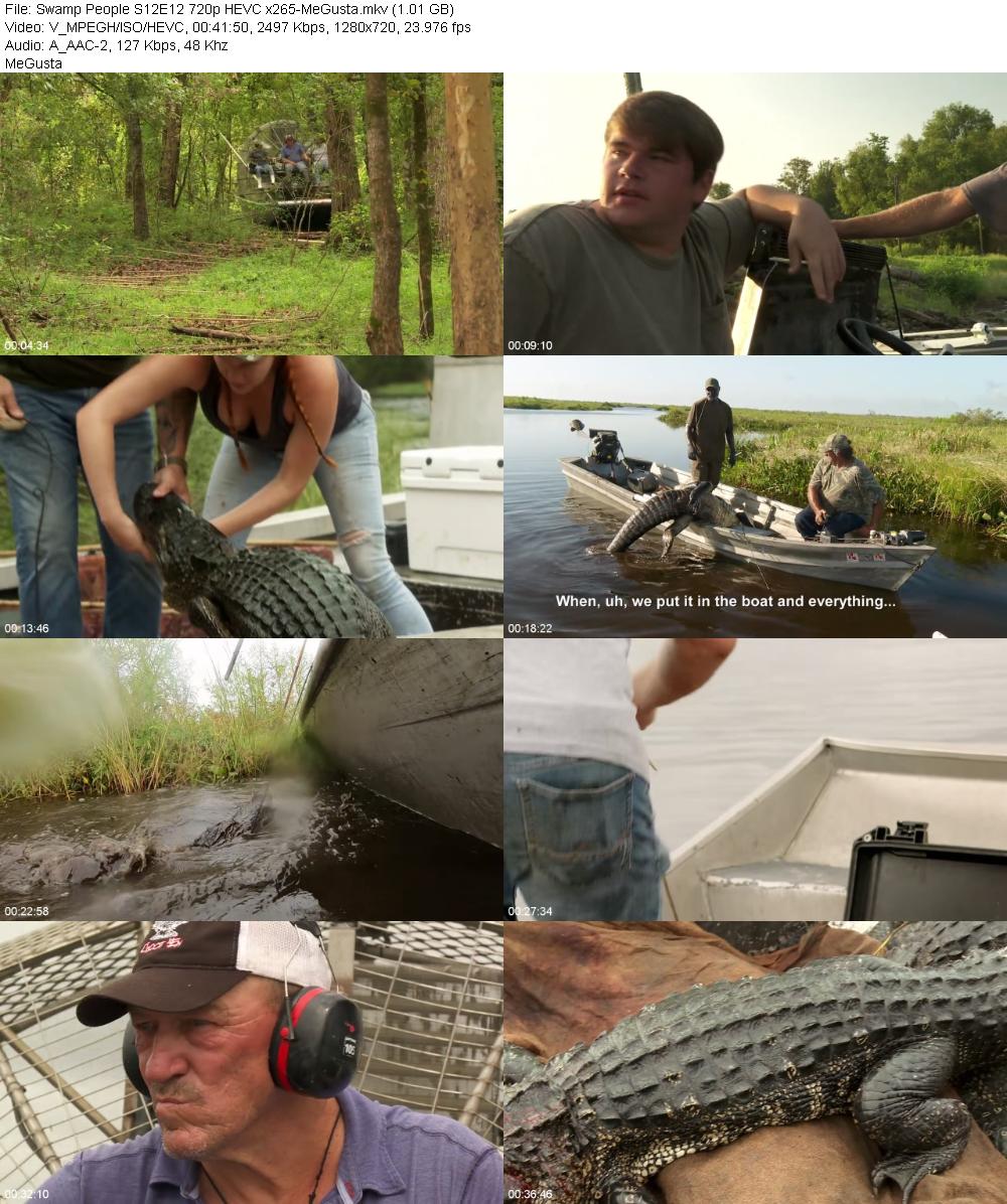 Swamp People S12E12 720p HEVC x265