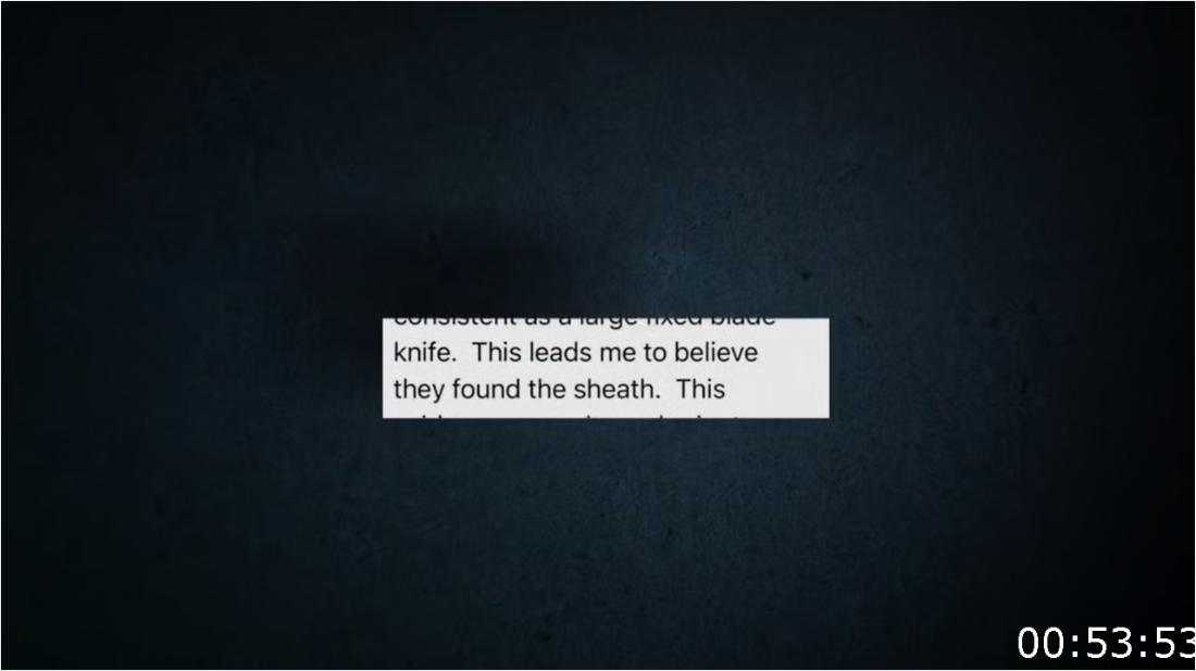 CyberSleuths The Idaho Murders [S01E01] [720p] (x265) [6 CH] Ydgax78k_o