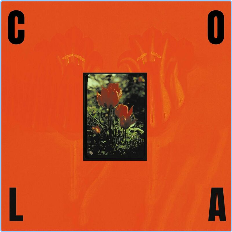 Cola The Gloss (2024) [320 Kbps] YvfeN0w3_o