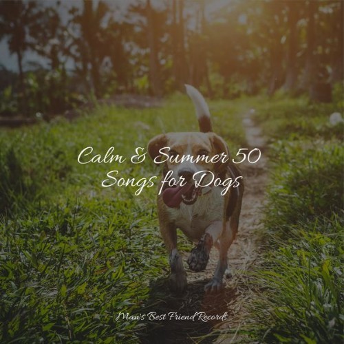Jazz Music Therapy for Dogs - Calm & Summer 50 Songs for Dogs - 2022
