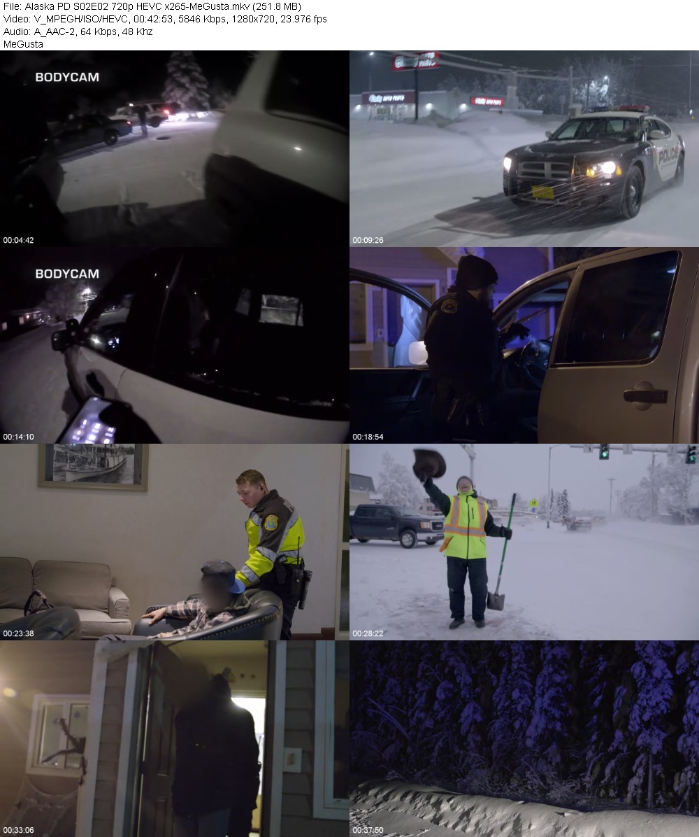 Alaska PD S02E02 720p HEVC x265-MeGusta