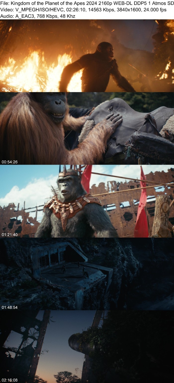 Kingdom of the Planet of the Apes 2024 2160p WEB-DL DDP5 1 Atmos SDR H265-AOC 4jh1Tq5O_o