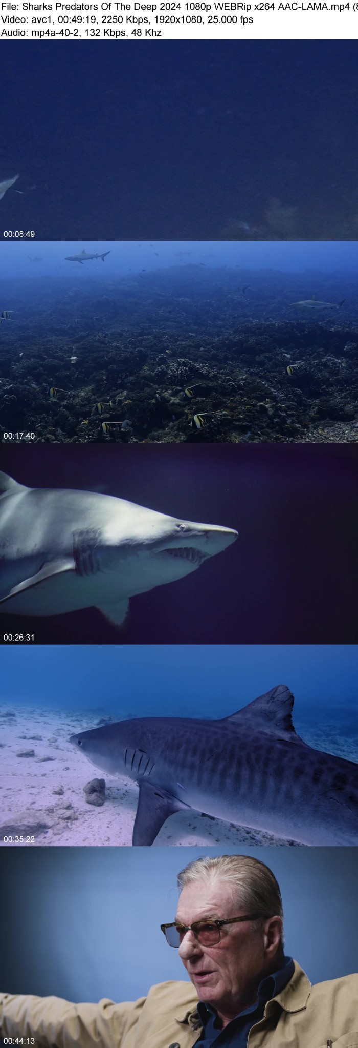 Sharks Predators Of The Deep (2024) 1080p WEBRip-LAMA J868IKqa_o