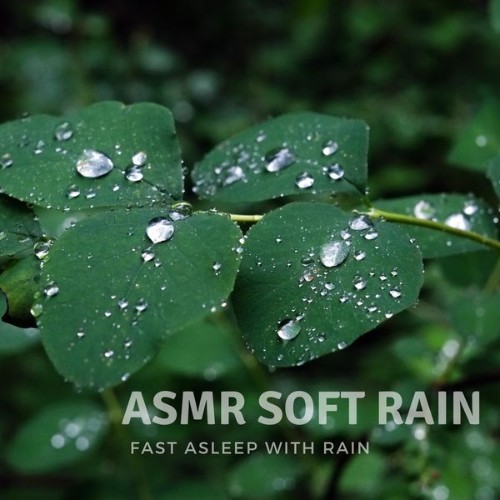 ASMR Soft Rain - Fast Asleep with Rain - 2022