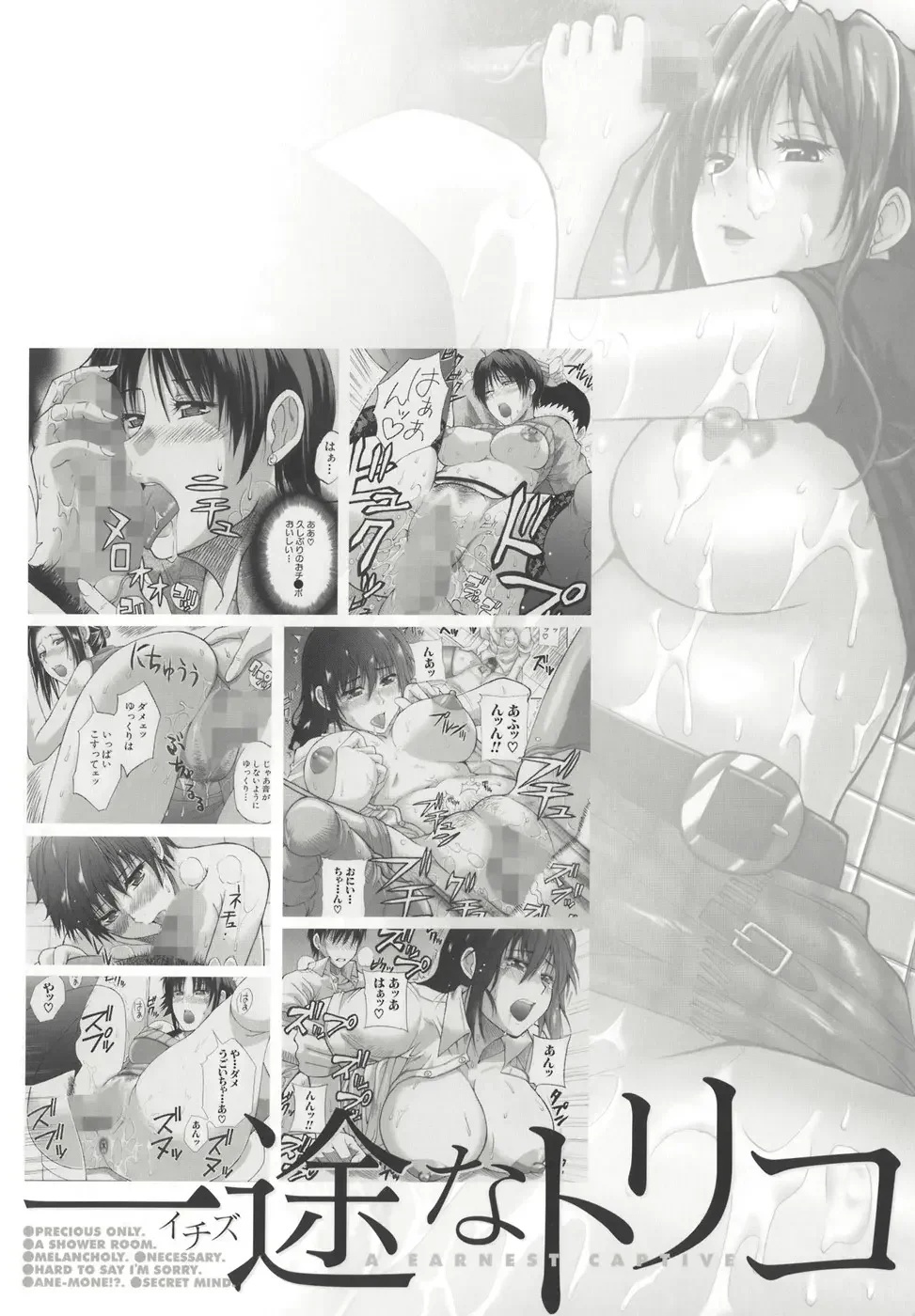 Ichizu na Toriko - A Earnest Captive - Shunjou Shuusuke - 210