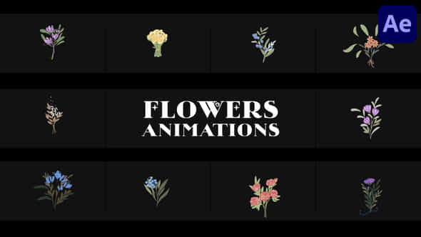 Flowers Falling Into Petals Animations For After Effects - VideoHive 52155580