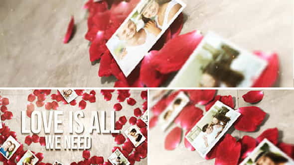 Rose Petals Heart - Photo - VideoHive 5315746