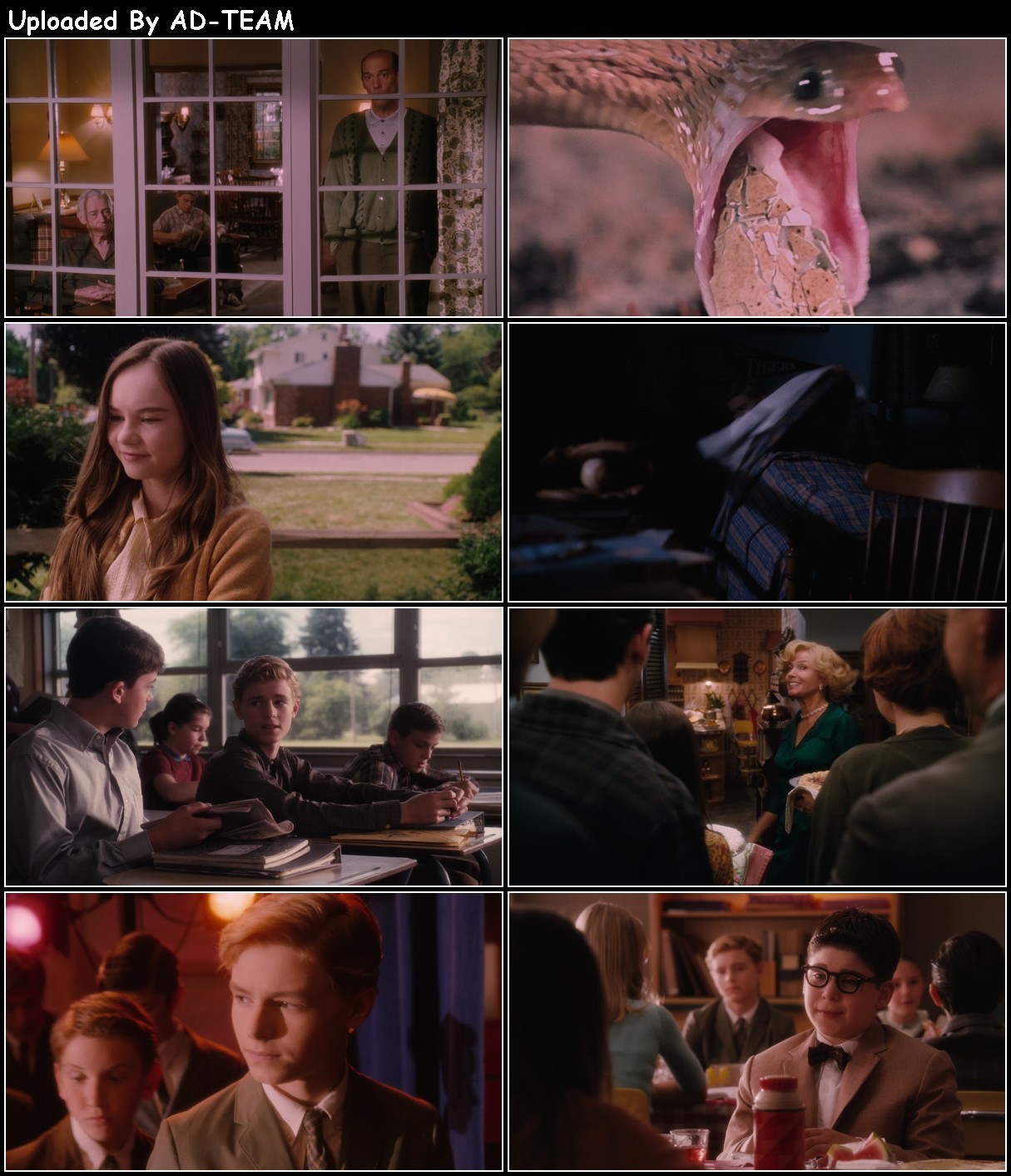 Flipped 2010 1080p BluRay x265-RARBG Dc7ry1kr_o