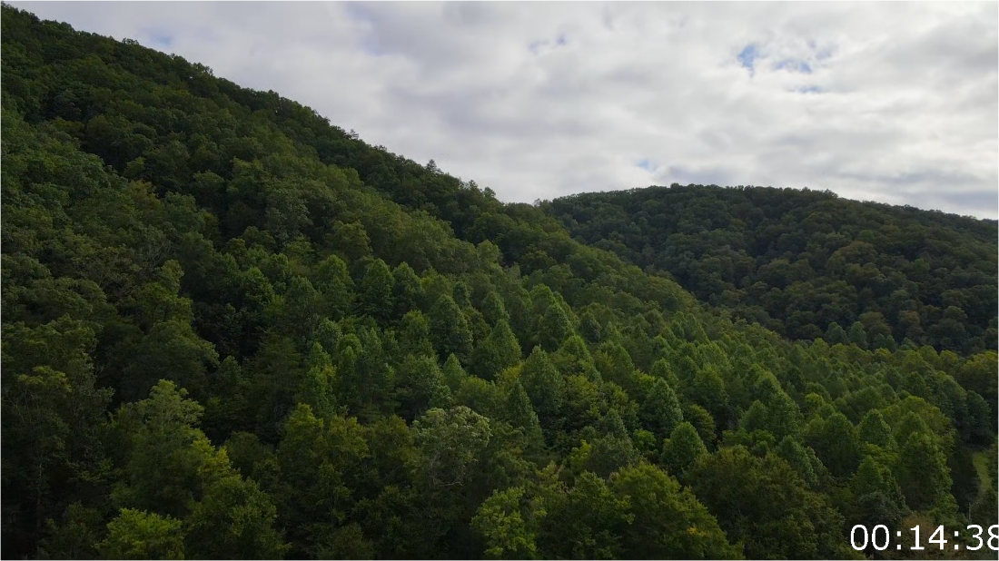 Moonshiners [S13E06] [1080p] (x265) GkBFUMSs_o