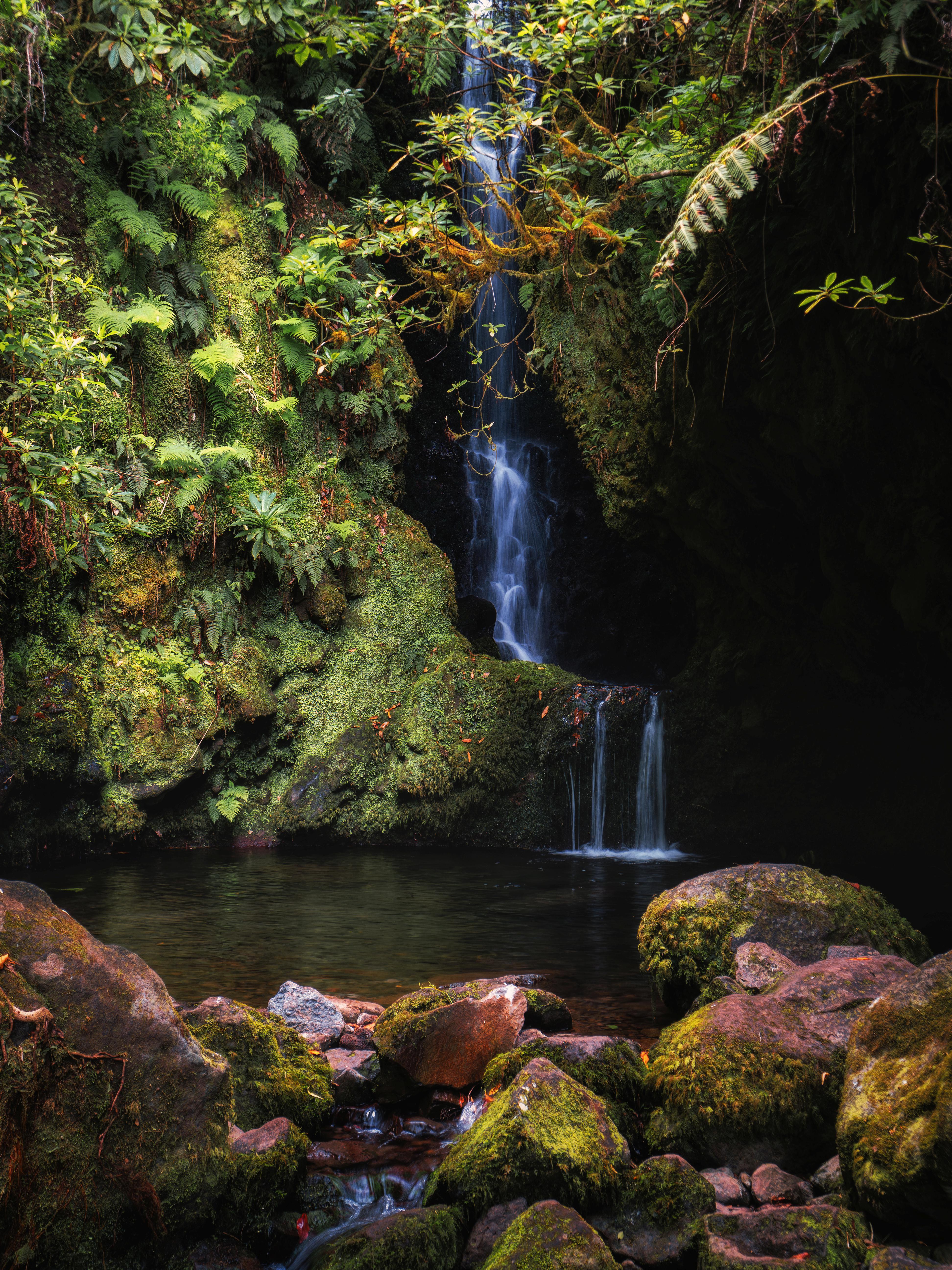 Madeira Waterfall [2988x5184]