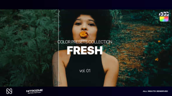 Fresh LUT Collection - VideoHive 47794774