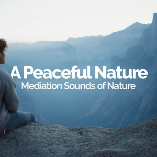 Mediation Sounds of Nature - A Peaceful Nature - 2019