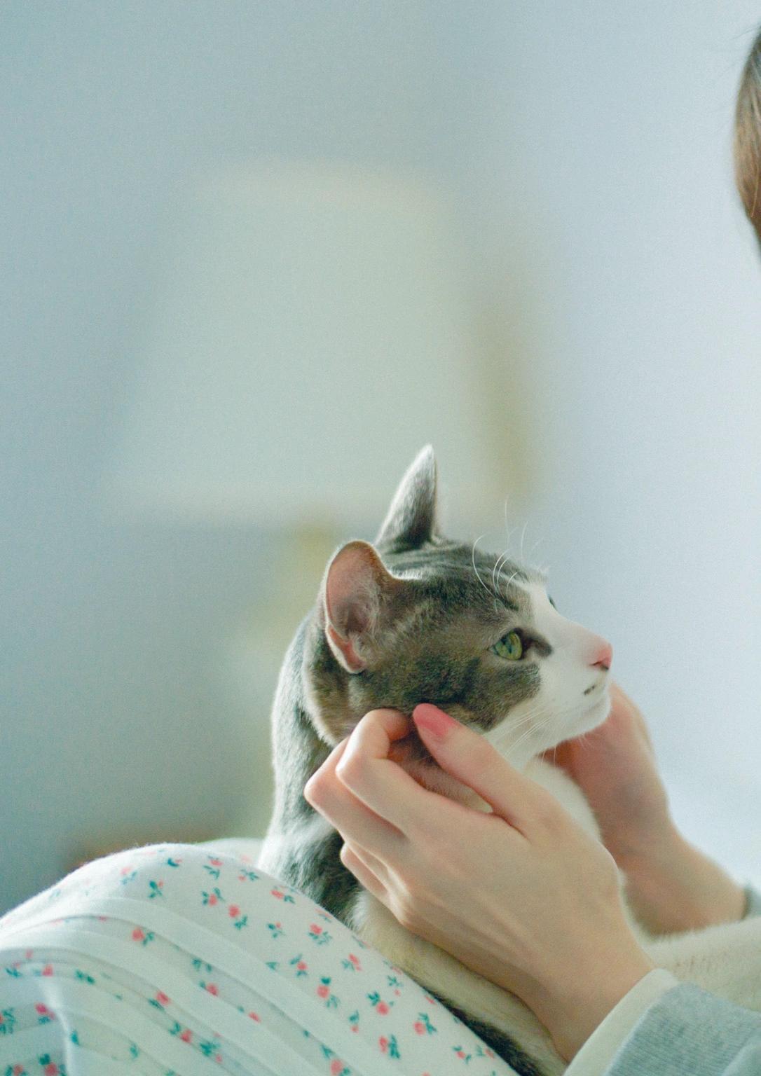 Kotoko Sasaki 佐々木琴子, 1st写真集 「明け方の夢」 Set.03(1)