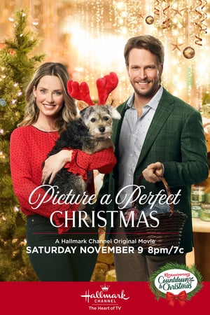 Picture a Perfect Christmas 2019 720p HDTV X264   SHADOW