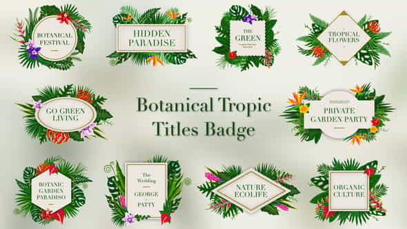 Tropical Titles Badge - VideoHive 23389450