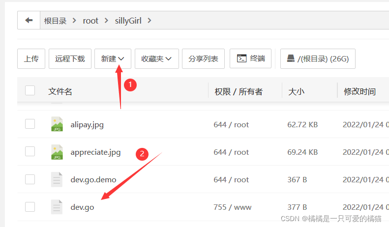 在这里插入图片描述