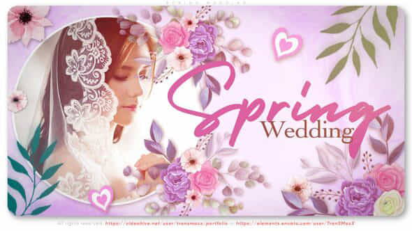 Spring Wedding - VideoHive 43343703