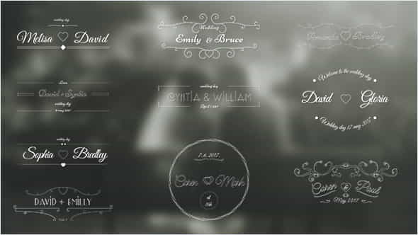 Wedding Labels - VideoHive 19414957