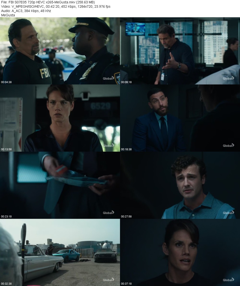 FBI S07E05 720p HEVC x265-MeGusta