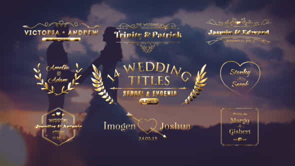 Wedding Titles - VideoHive 21473391