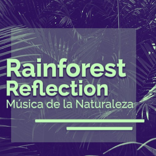 Relajacion del Mar - Rainforest Reflection - 2019