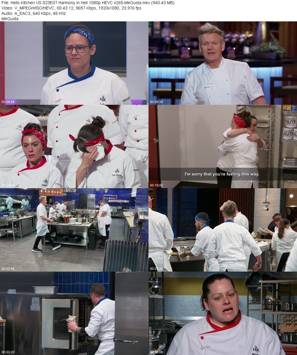 Hells Kitchen US S23E07 Harmony in Hell 1080p HEVC x265-MeGusta