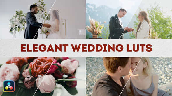 Elegant Wedding Luts Davinci Resolve - VideoHive 49768403