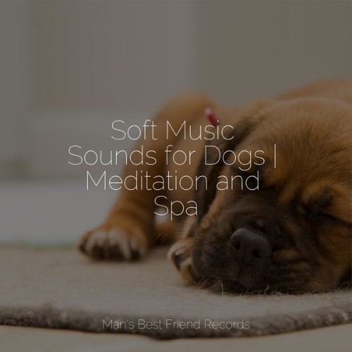 Music For Dogs - Soft Music Sounds for Dogs  Meditation and Spa - 2022