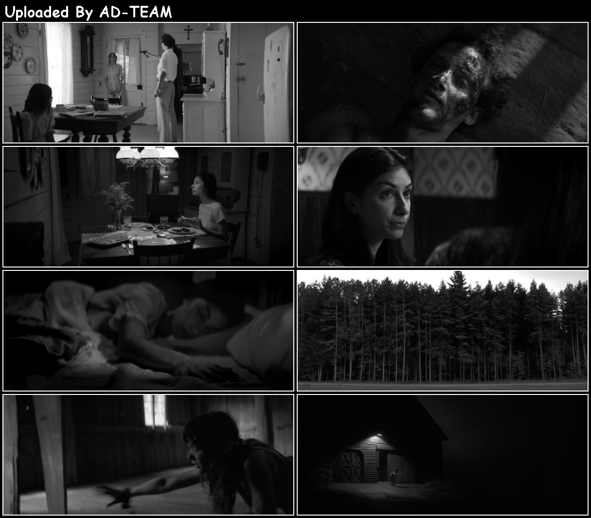 The Eyes Of My MoTher 2016 1080p BluRay x265-RARBG LgIGo8lF_o