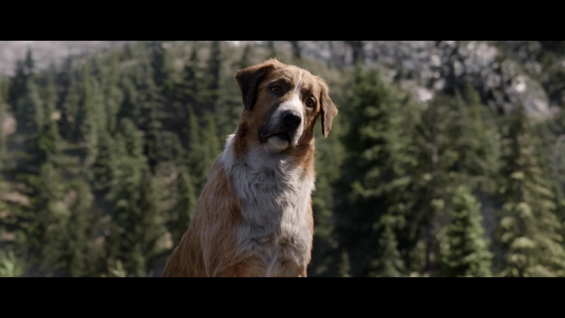 The Call of the Wild 1080p WEB-DL DD5 1 H 264-EVO The Call of the Wild 1080p WEB-DL DD5 1 H 264-EVO