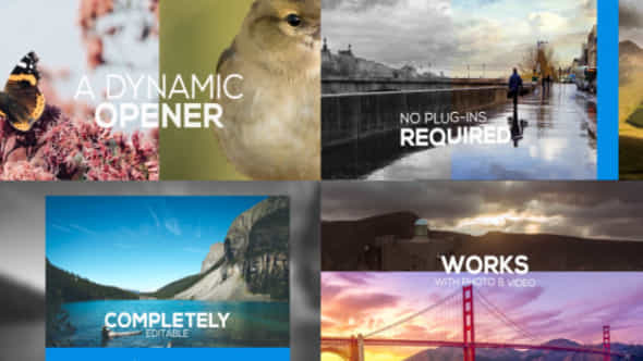 Clean Media Opener - VideoHive 14201038