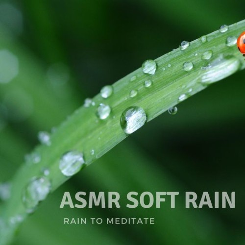 ASMR Soft Rain - Rain to Meditate - 2022