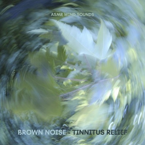 Brown Noise - Tinnitus Relief - ASMR Wind Sounds - 2022