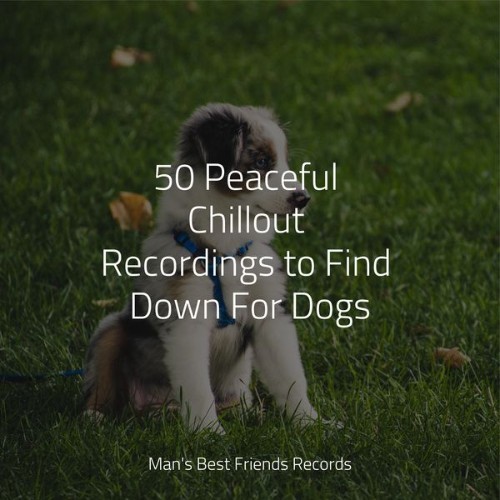 Sleeping Music For Dogs - 50 Peaceful Chillout Recordings to Find Down For Dogs - 2022